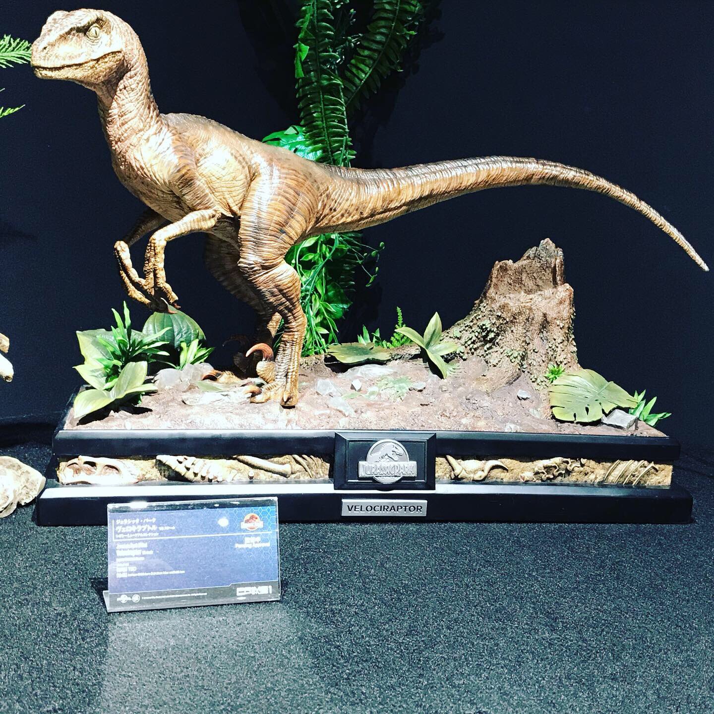 อลังการงานโชว์ กับธีมสวน Jurassic Park ที่จัดแสดงโชว์อยู่ที่ช็อป Prime1Studio ประเทศญี่ปุ่น