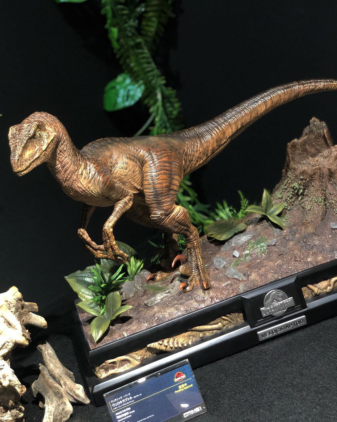 อลังการงานโชว์ กับธีมสวน Jurassic Park ที่จัดแสดงโชว์อยู่ที่ช็อป Prime1Studio ประเทศญี่ปุ่น