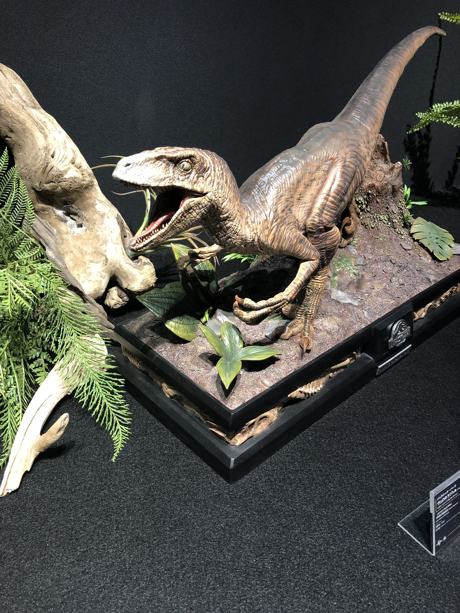 อลังการงานโชว์ กับธีมสวน Jurassic Park ที่จัดแสดงโชว์อยู่ที่ช็อป Prime1Studio ประเทศญี่ปุ่น